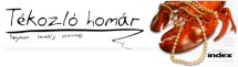 Tékozló Homár logo